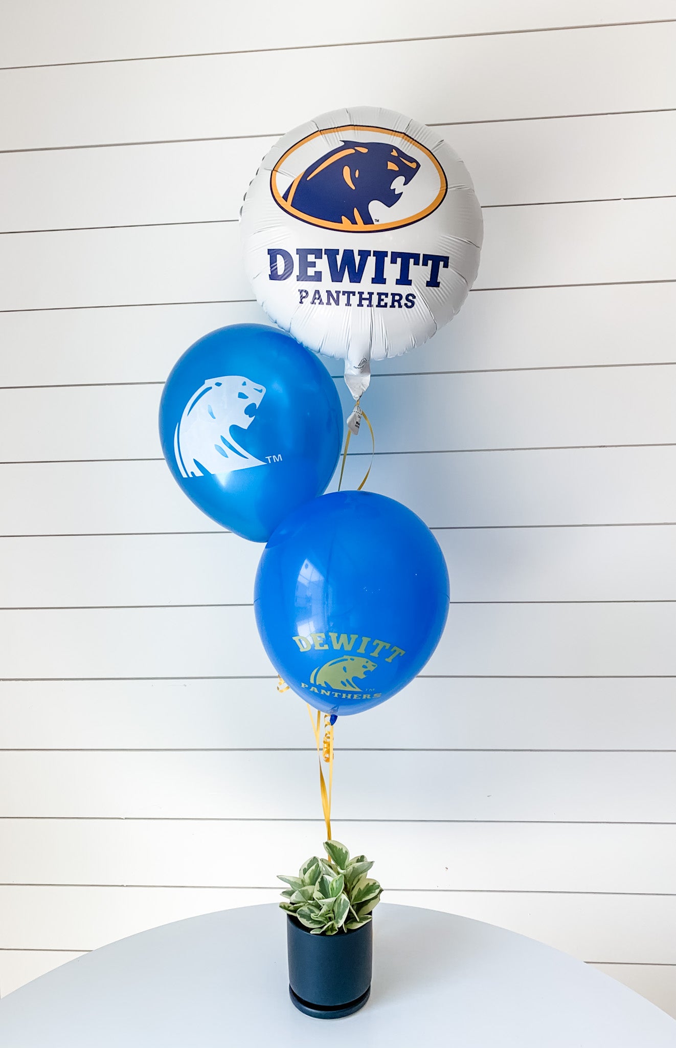 DeWitt Panther - Custom Balloons