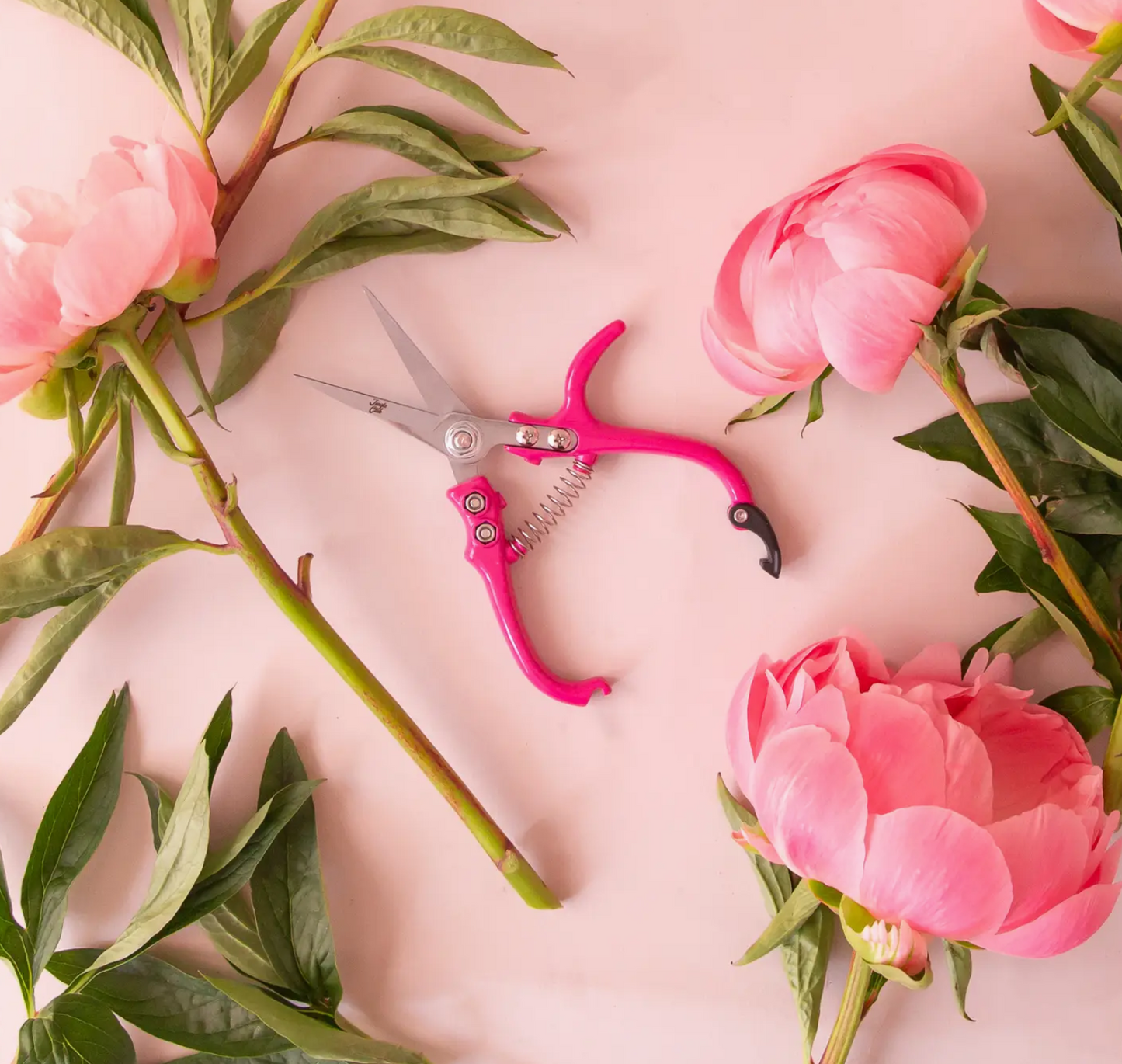 Pruning Shears - Hibiscus