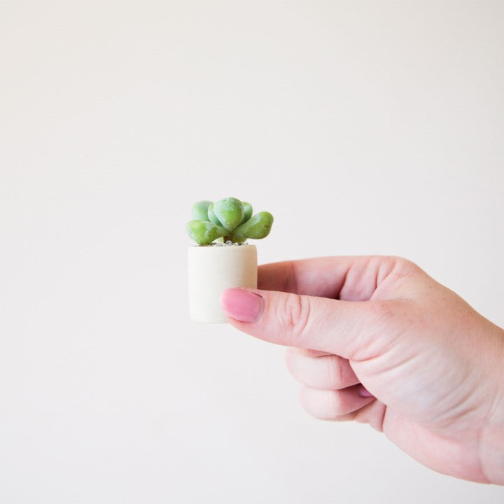 Tiny Pot - Beige
