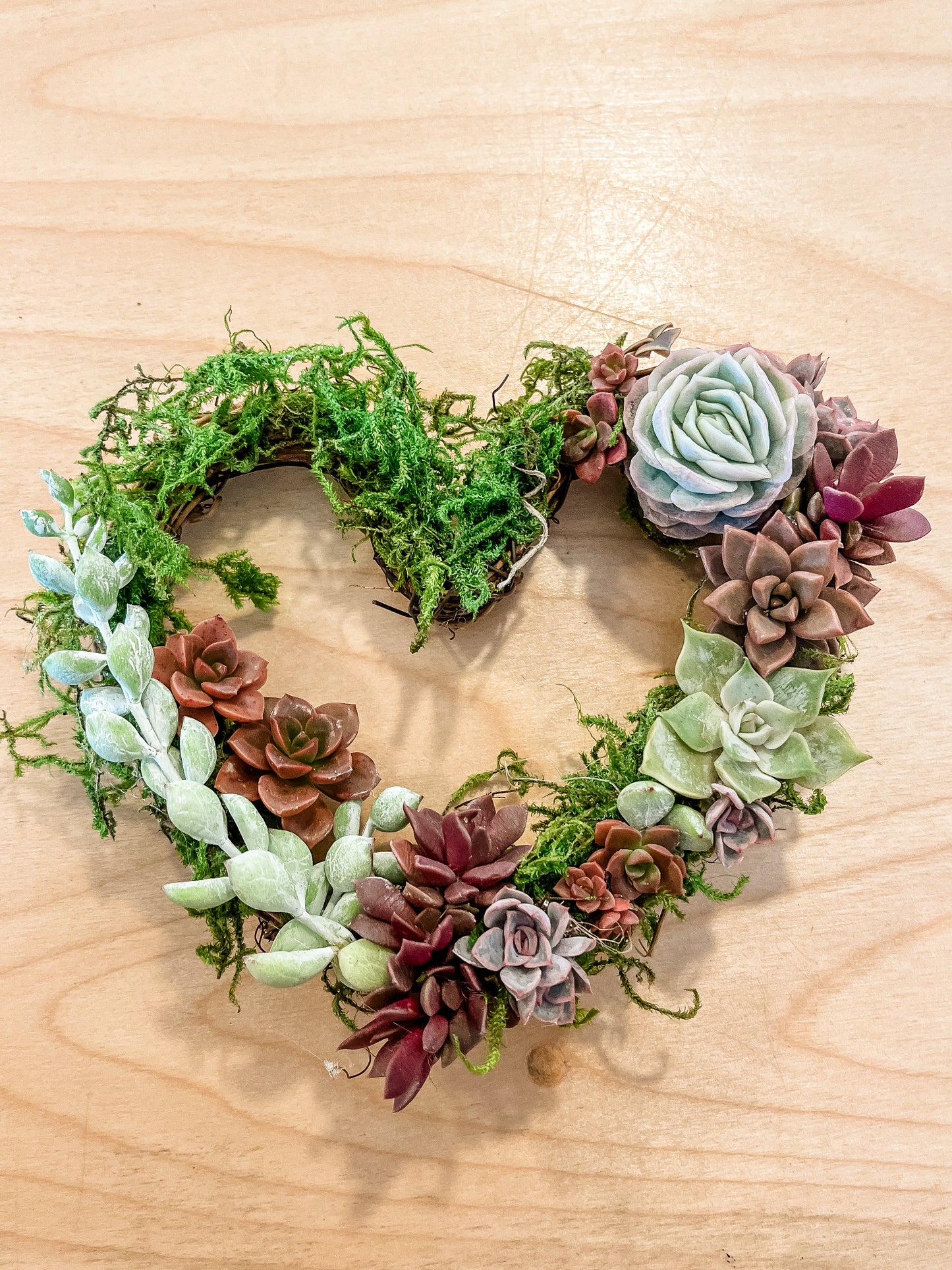 Succulent Heart Wreath Workshop