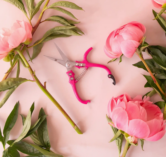 Pruning Shears - Hibiscus