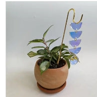 Plant Jewelry Pick - Iridescent Sunrise