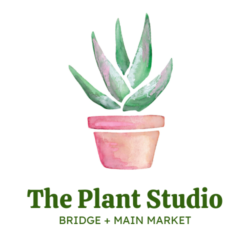 The Plant Studio at Bridge + Main Market