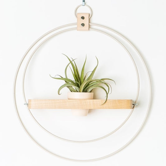 Air Plant Plant Shelf - White Plant Shelf + Mini Pot