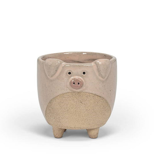 Pig On Legs Planter - Small