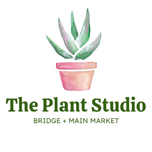 Plant Gift Shop in DeWitt Michigan - Lansing Area  The Plant Studio at  Bridge + Main Market