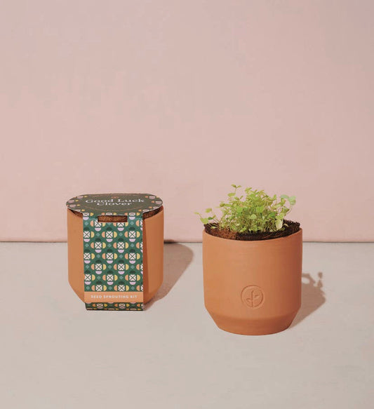 Terracotta Kit -  Good Luck Clover