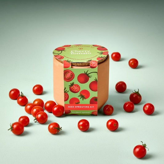 Tiny Terracotta Garden Kit - Cherry Tomato