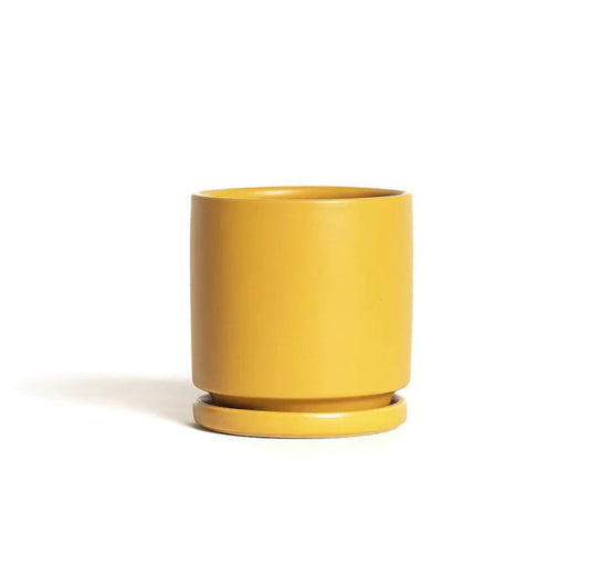 Gemstone Cylinder - Mustard