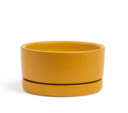 Low Bowl - Mustard