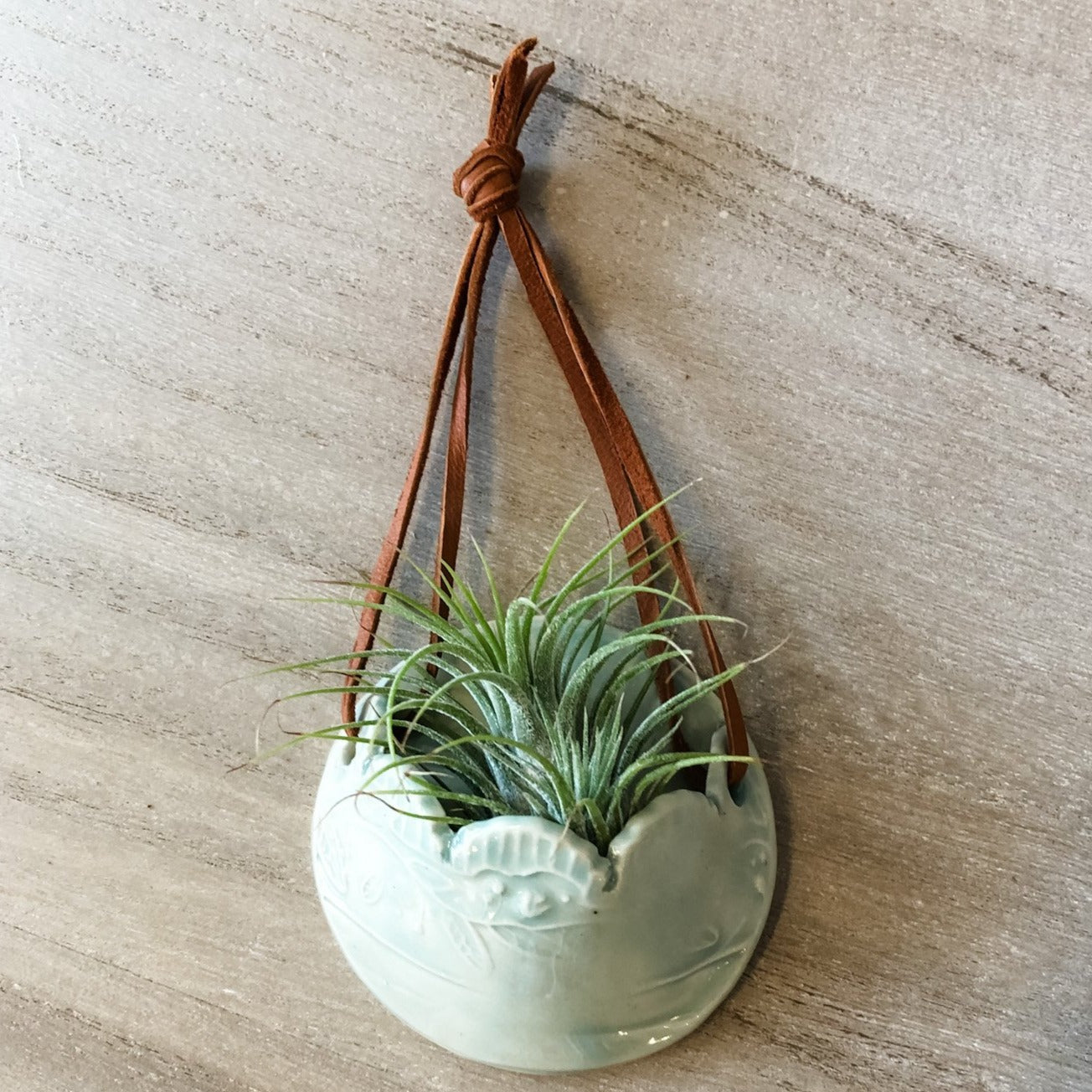 Ceramic Hanging Air Plant Holder - Multiple Colors Available