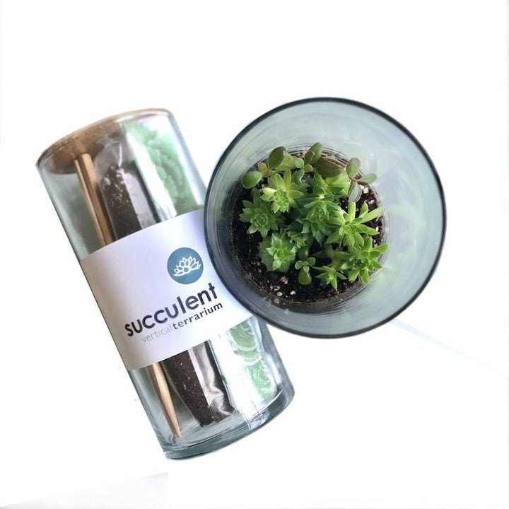 Vertical Succulent Terrarium