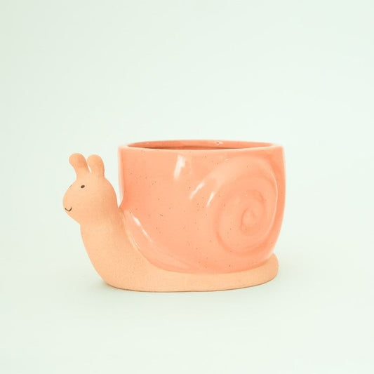 Snail Planter - Sunset