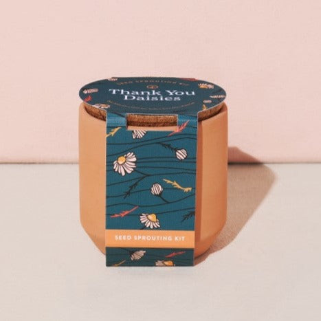 Tiny Terracotta - Thank You Daisies